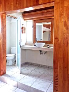 a bathroom with a sink and a toilet at Departamento Vintage Querétaro in La Cañada