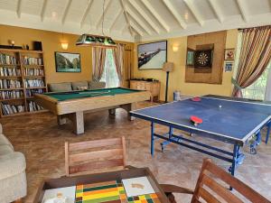 a living room with a pool table and a couch at Spicy Hill Villa in Port Antonio