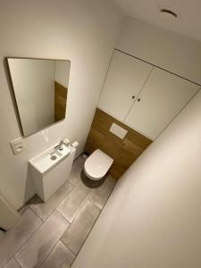 a bathroom with a toilet and a sink and a mirror at Ô’pti Cavens in Malmedy