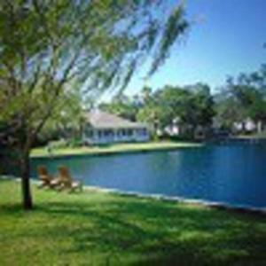 a couple of dogs sitting on a bench next to a lake at H13 Ocean Walk Resort 2bdrm 2 bath downstairs great beds Great view and always a great breeze in Saint Simons Island