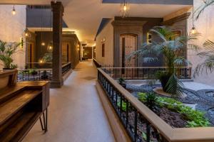 un corridoio di una casa con delle piante sopra di Hotel Patio Santiago a Querétaro