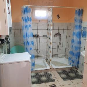 Vonios kambarys apgyvendinimo įstaigoje Kisfaludy Vendégház