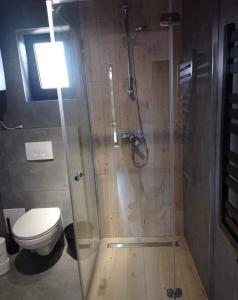 a bathroom with a shower and a toilet at Jasna Chata Kluszkowce in Kluszkowce