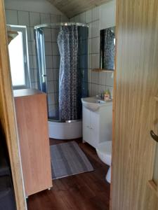 La salle de bains est pourvue d'une douche, de toilettes et d'un lavabo. dans l'établissement Agroturystyka u Wioli i Irka, domek u Elki , spływy kajakowe, à Karsin