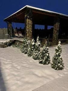 Ảnh trong thư viện ảnh của Villa Melissa ở Vyšné Nemecké