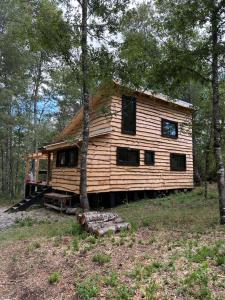 una cabaña de madera en medio de un bosque en Cabaña Chucao, Nativo Lodge, en Curacautín