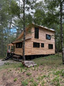 a log cabin in the middle of a forest at Cabaña Chucao, Nativo Lodge, Araucanía Andina in Curacautín
