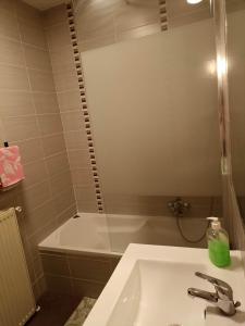 W łazience znajduje się umywalka i wanna. w obiekcie Appartement Gauche avec balcon w mieście Hargarten-aux-Mines +7 zdjęć