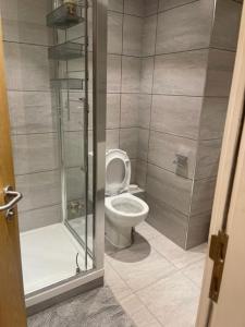 a bathroom with a toilet and a shower at Monument Prime Location in the City of London in London