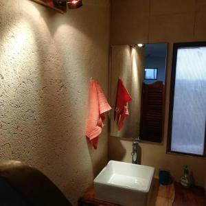 een badkamer met een wastafel en een spiegel bij Aguara House Pedemonte Mendoza in Mendoza