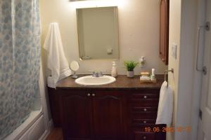 a bathroom with a sink and a mirror at Lovely private one bedroom apartment in Kanata in Ottawa