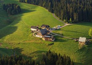 eine Luftansicht eines Hauses auf einem grünen Feld in der Unterkunft ThälerHäusle in Furtwangen