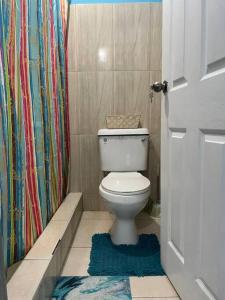uma casa de banho com um WC e uma cortina de chuveiro em Kavi Crescent Snug Retreat 2BR with Queen bed em Petit Valley