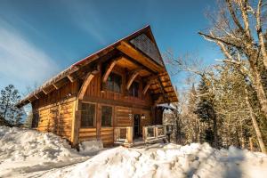 uma cabana de madeira na floresta na neve em RCNT Chalets Mont-Tremblant em Lac-Superieur