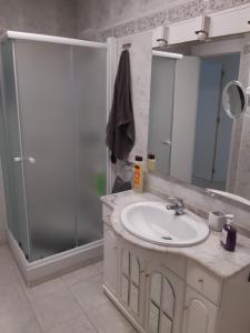 ein Bad mit einem Waschbecken und einer Dusche in der Unterkunft Apartamento Somosierra a 7 minutos del centro histórico in Logroño