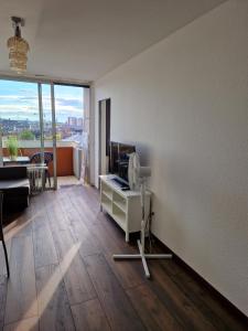 Televiisor ja/või meelelahutuskeskus majutusasutuses Zentral gelegenes Zwei-Zimmer Apartment mit Skylineblick