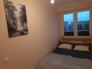 um quarto com uma cama e duas janelas em Family Suite Świecie em Swiecie