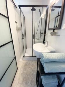 a bathroom with a shower and a sink and a mirror at The East Wing Bloemendaal in Bloemendaal
