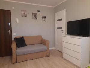 een woonkamer met een bank en een flatscreen-tv bij Family Suite Świecie in Świecie