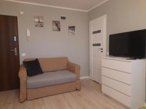 a living room with a couch and a flat screen tv at Family Suite Świecie in Świecie
