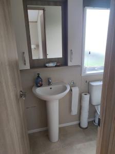 een badkamer met een wastafel, een spiegel en een toilet bij Notre Nid in Middelkerke