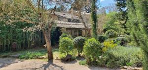 une maison au milieu d'un jardin dans l'établissement Aux berges du pont du gard, à Vers-Pont-du-Gard