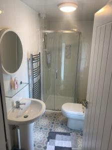a bathroom with a shower and a sink and a toilet at Baxters Apartments in Milford