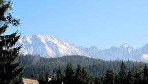 a snow covered mountain range with trees in the foreground at Bajkowa Chata 3 Magiczne Domki Jacuzzi in Murzasichle