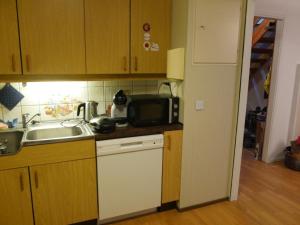 a kitchen with a sink and a microwave at Iancu's Residence 
