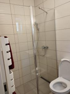 Koupelna v ubytování Liliomfa apartman