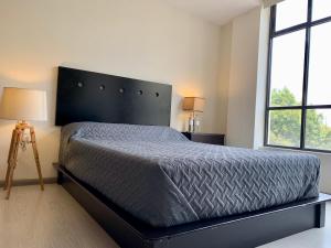 ein Schlafzimmer mit einem großen Bett und zwei Fenstern in der Unterkunft Mexico City MondoMexico Deluxe apartments in Mexiko-Stadt