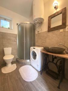 a bathroom with a toilet and a washing machine at Chalupa u babky in Ružomberok