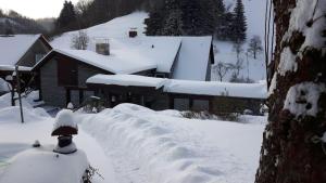 a house covered in snow with a snow covered driveway at Haus Wiesenblick in Walkenried
