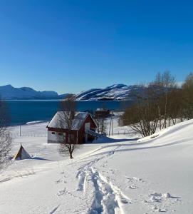 a house in the snow next to a body of water at Unique and charming holiday home with fantastic sea views in Tromsø