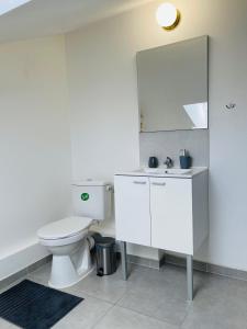 een badkamer met een toilet, een wastafel en een spiegel bij Casa Grande in Romilly-sur-Seine