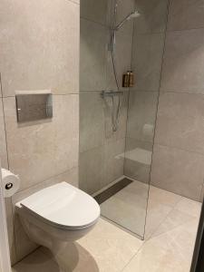 a bathroom with a toilet and a glass shower at Rognan Hotel in Rognan