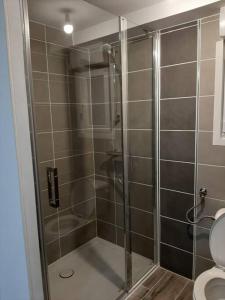 a shower stall in a bathroom with a toilet at Un beau T2 neuf à côté de Puy du Fou et la côte vendèene in Les Herbiers