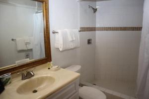 a bathroom with a sink and a toilet and a mirror at Point Pleasant Resort in Nazareth
