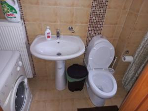 a small bathroom with a sink and a toilet at Ιάνθη studio in Kardítsa