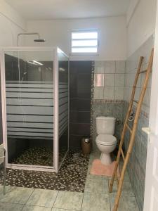 a bathroom with a shower and a toilet at StephAppart in Le Robert