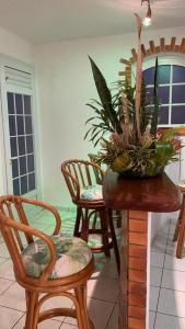 a room with chairs and a table with a plant on it at StephAppart in Le Robert