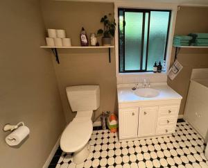 a small bathroom with a toilet and a sink at Beautiful 1960s home in historic Yackandandah in Yackandandah