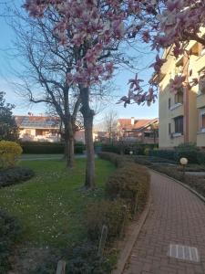 A garden outside La Casa Blu- Forum di Assago, Ospedale Humanitas, Milanofiori, IEO