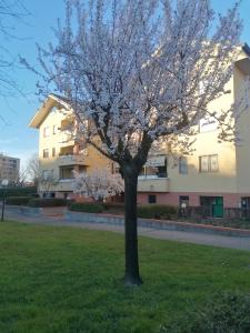 The building in which a vendégházakat is located