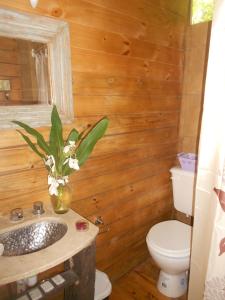 a bathroom with a toilet and a sink at Cabaña Los Alcanfores in Tigre