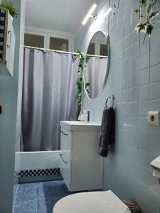 La salle de bains est pourvue de toilettes, d'un lavabo et d'un miroir. dans l'établissement Casa Porto, con Garaje, à Vigo