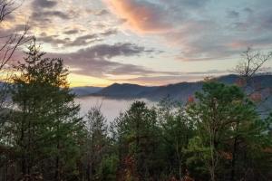 Gallery image of Lazy Bear Lodge in Sevierville