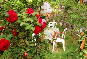 a table and chairs in a garden with red roses at Hotel Marina in Monterosso al Mare