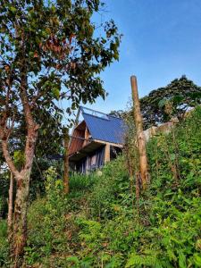 Zahrada ubytování Casa Mostaza-Ecolodge