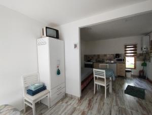 pokój z kuchnią i pokój z lodówką w obiekcie Casa cronopio w mieście Ushuaia